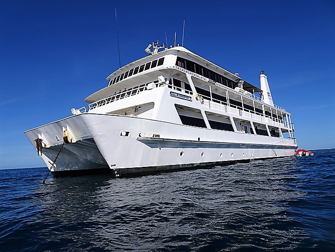 The all-white Coral Expeditions II (2)