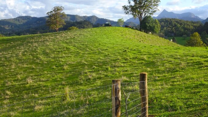 Website - Tweed Valley hills and Mt Warning