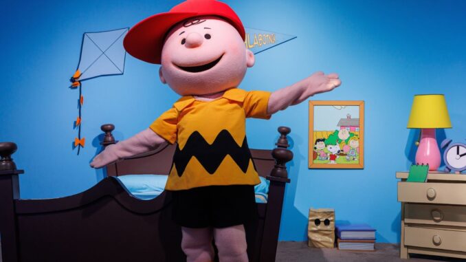 Peanuts - Charlie Brown resized