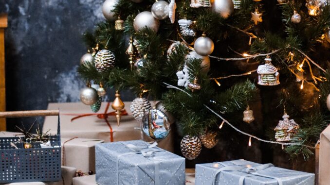 Christmas Tree one taisiia-shestopal-h3HvJ2a0gT8-unsplash horizontal