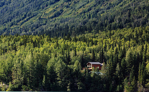 Tiffany - cabin
